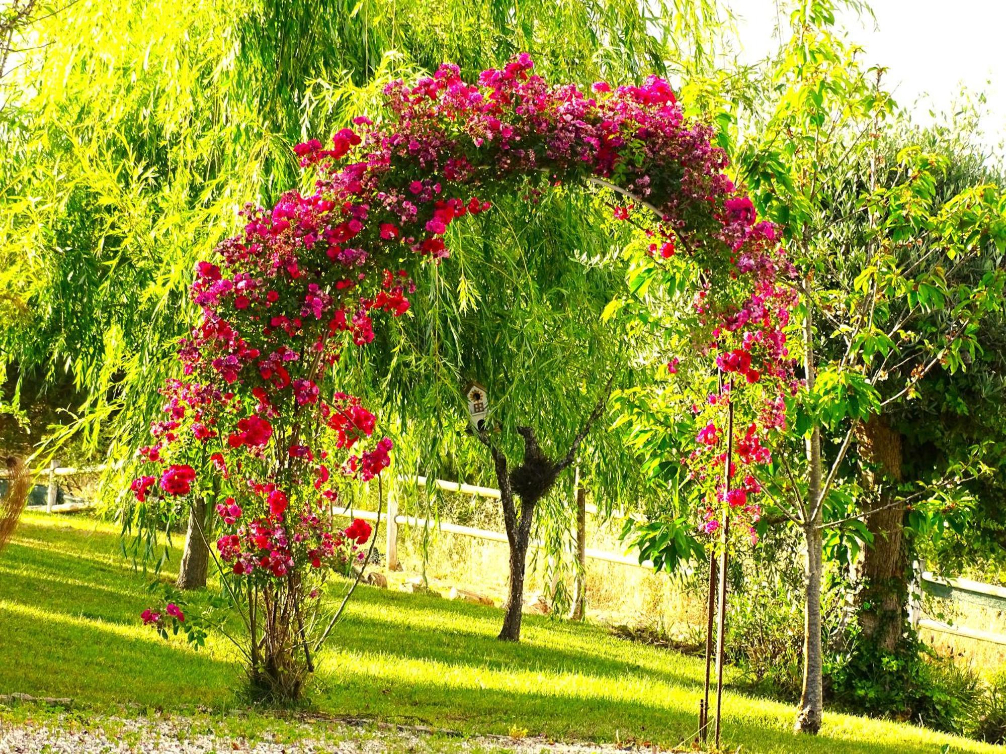 סאו לואיס Monte Casaroes 2 By Stay In Alentejo מראה חיצוני תמונה
